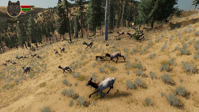 WolfQuest: Anniversary Edition 4