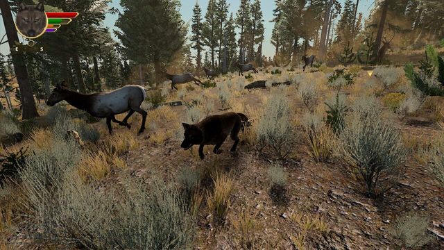 WolfQuest: Anniversary Edition 5