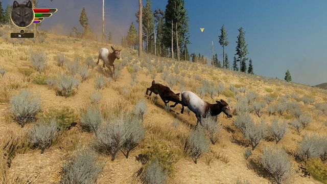 WolfQuest: Anniversary Edition 6