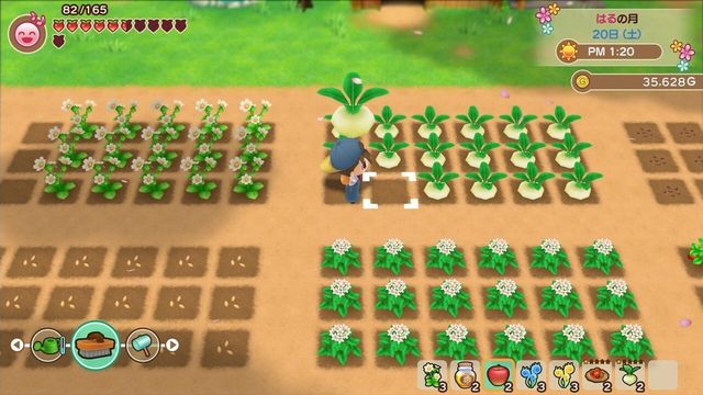 Story of Seasons: Friends of Mineral Town 2