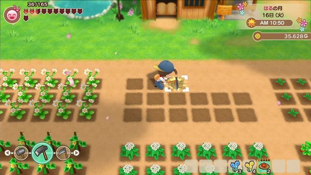 Story of Seasons: Friends of Mineral Town 4