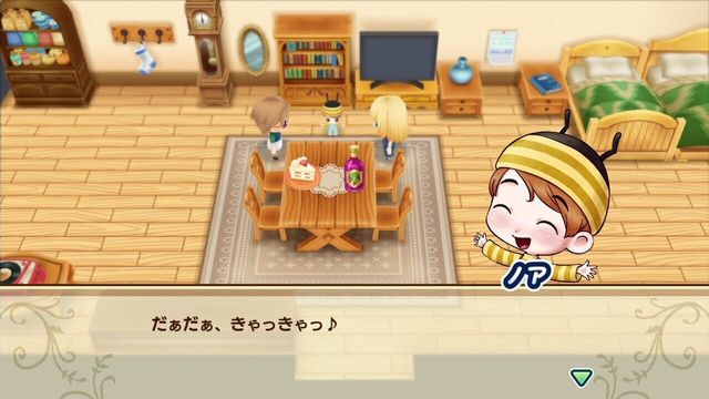 Story of Seasons: Friends of Mineral Town 6
