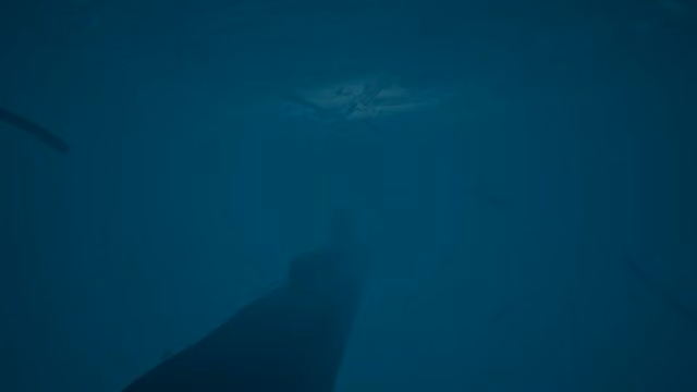 Road Homeward 3: Underwater World 5