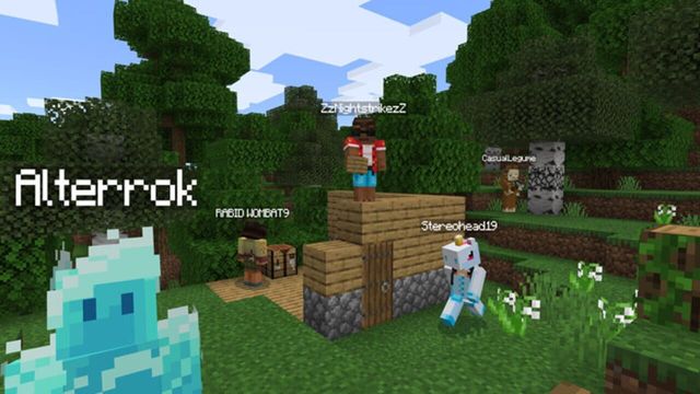 Minecraft: Java Edition 6
