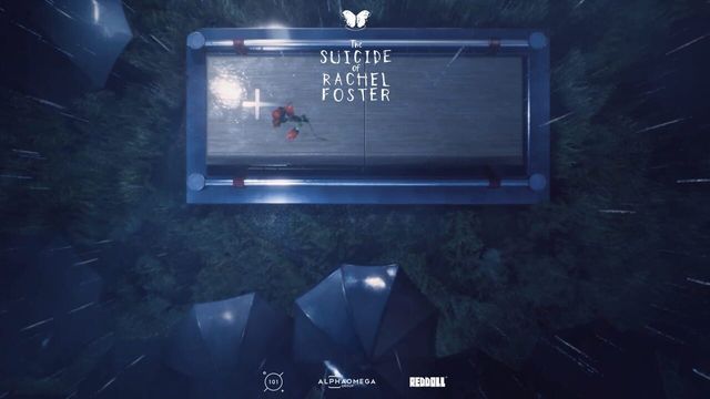 The Suicide of Rachel Foster 2