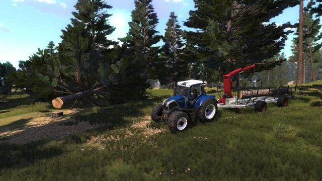 Lumberjack's Dynasty 3