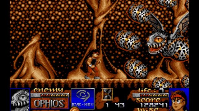 Risky Woods 2