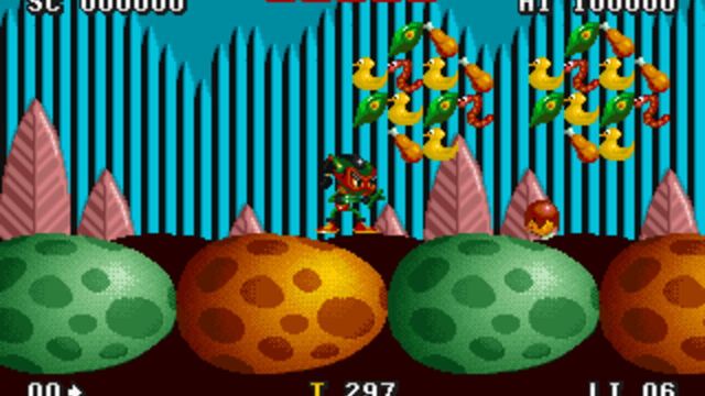 Zool 2 4