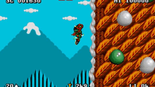 Zool 2 6