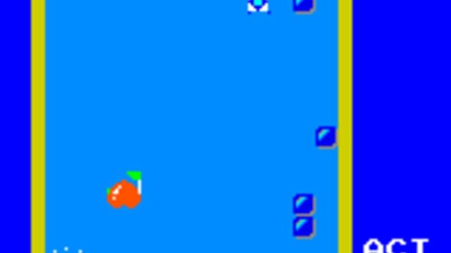 Pengo 4