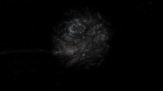 In - Sight 5