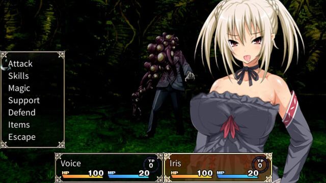 Holy Knight Luviria 3