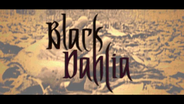 Black Dahlia 2