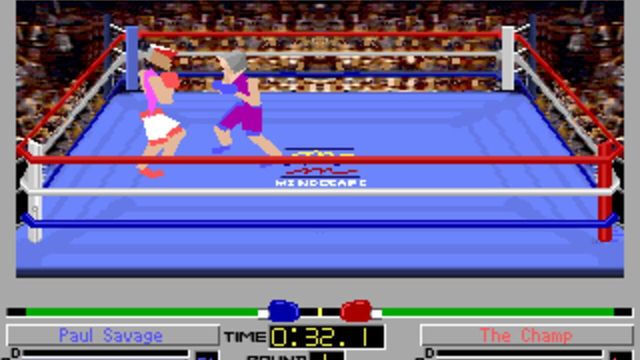 4-D Boxing 2