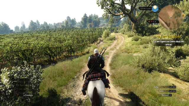 The Witcher 3: Wild Hunt - Hearts of Stone 3