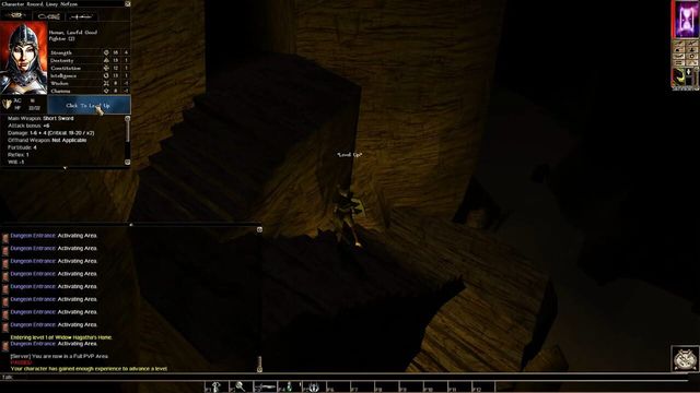 Neverwinter Nights: Infinite Dungeons 1