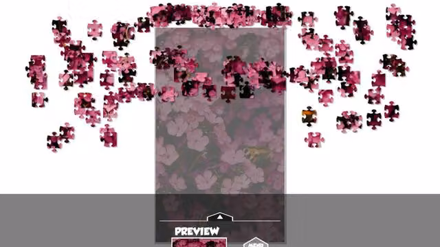 Puzzlection 1