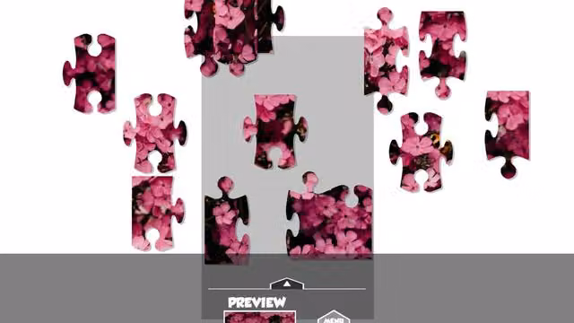 Puzzlection 2