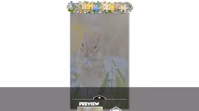 Puzzlection 5