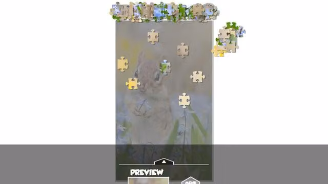Puzzlection 6