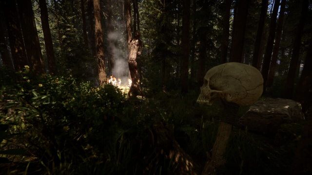 Sons of the Forest 2