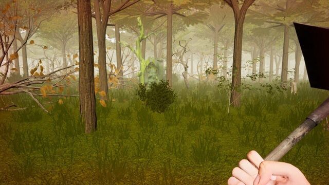 Forest Woodman 4