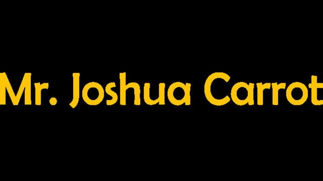 Mr. Joshua Carrot 6