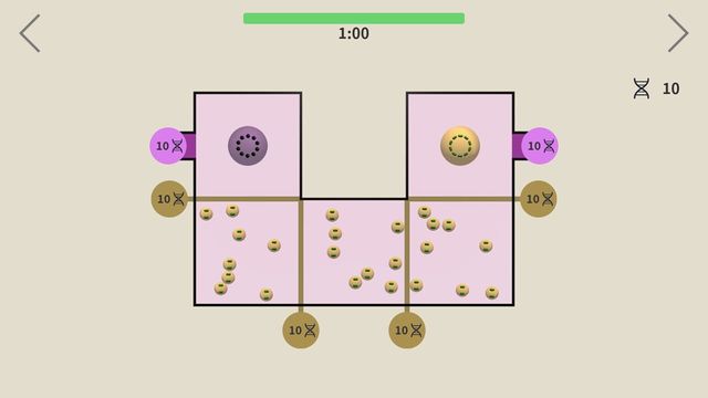 Infection 5