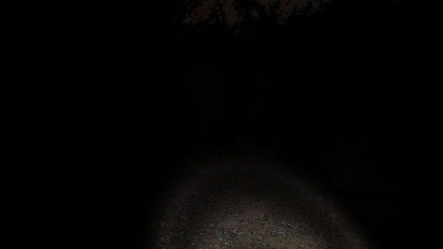 Slender: The Eight Pages 5