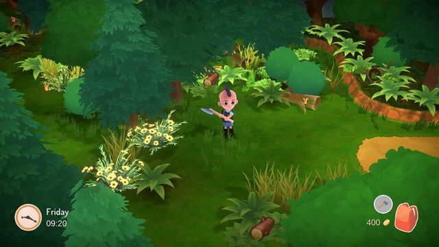 Hokko Life 6