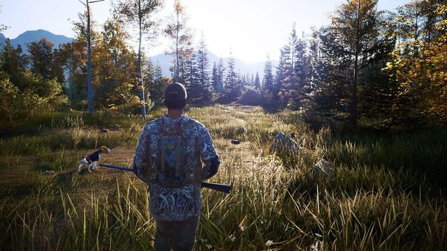 Hunting Simulator 2 5