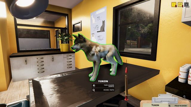 Animal Shelter Simulator 3