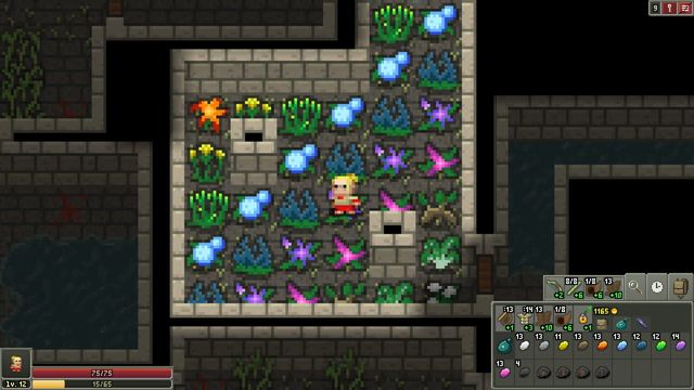 Shattered Pixel Dungeon 6