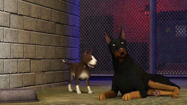 The Sims 3: Pets 3