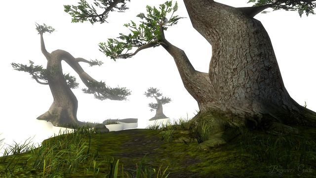 The Beginner's Guide 5