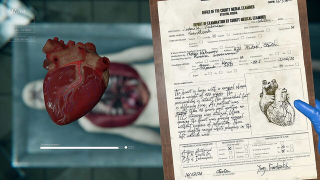 Autopsy Simulator 6