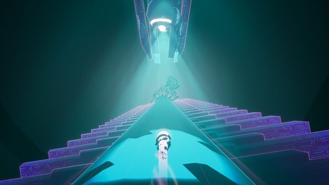 Nerve 6