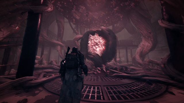 Remnant: From the Ashes - Subject 2923 2