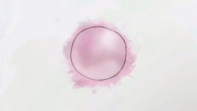Pink Gum 6