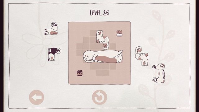 Cats Organized Neatly 2