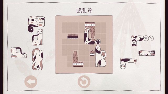 Cats Organized Neatly 3