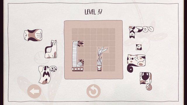 Cats Organized Neatly 4