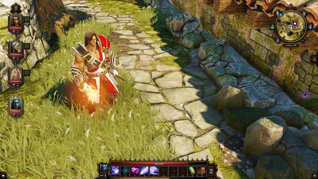 Divinity: Original Sin - Enhanced Edition 3