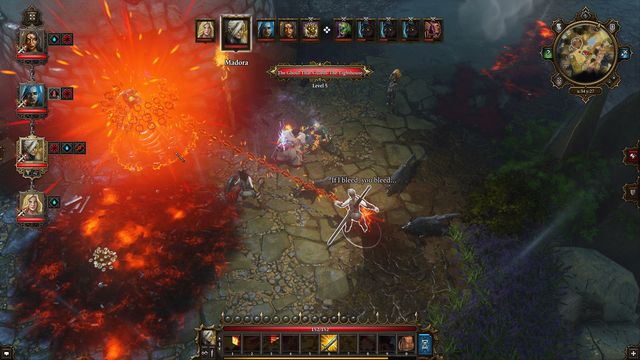Divinity: Original Sin - Enhanced Edition 6
