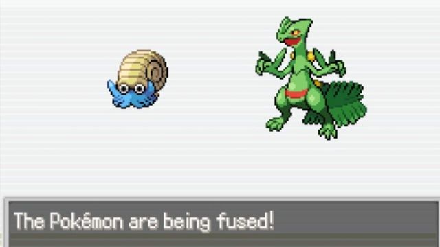 Pokémon Infinite Fusion 1
