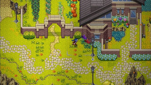 CrossCode: A New Home 5