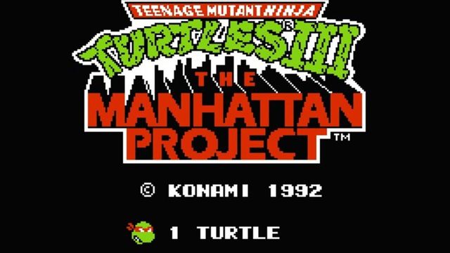Teenage Mutant Ninja Turtles III: The Manhattan Project 2