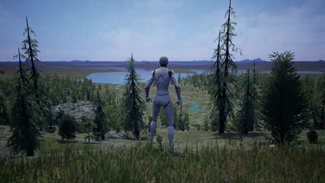 Metaverse: Origins 5