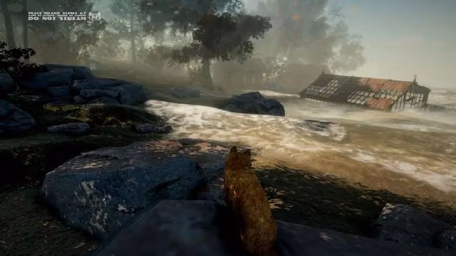 Peace Island 5