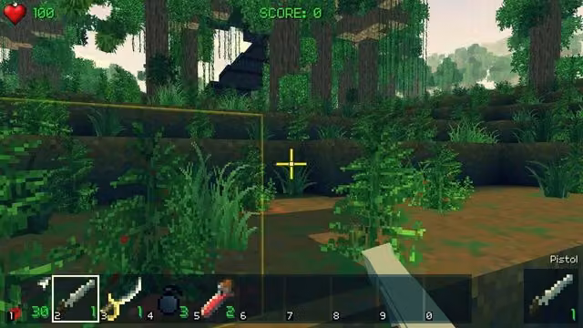 Piratecraft 2